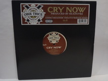 12''　OBIE TRICE / CRY NOW　SICKNOTES　デトロイト_画像1