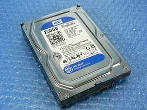 1CFH // WESTERN DIGITAL WD2500AAKX 250GB 3.5インチ SATA600 6Gb/s 7200rpm // HP ProLiant ML350e Gen8 取外