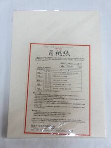 月桃紙　琉球紙舗　日本月桃／和紙　A４　７０g/㎡　１００枚　