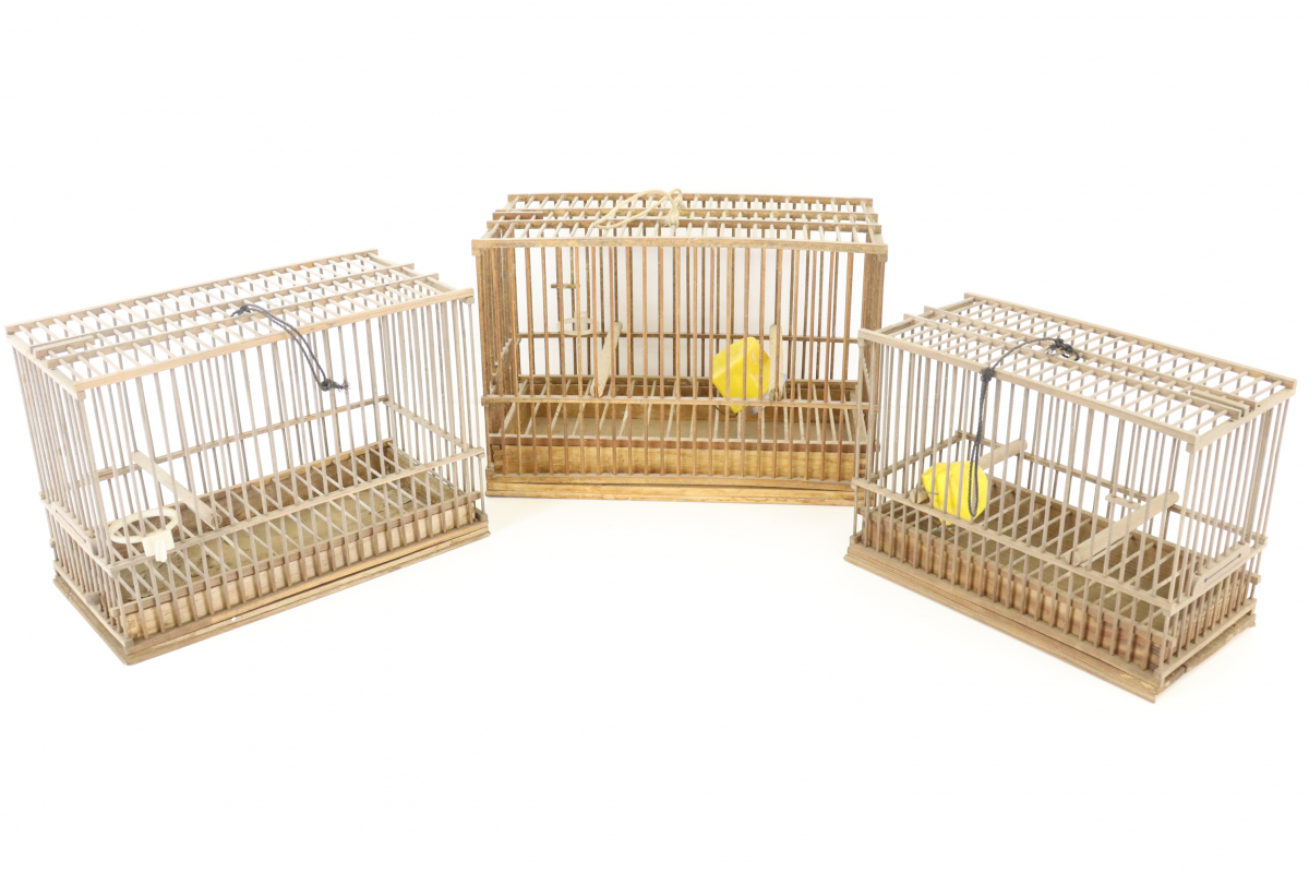 誠実】 竹製 名人鳥籠 倭 倭作 シドリ 尺2 鳥カゴ 未使用品 鳥用品