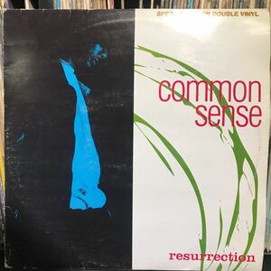 Common / resurrection Special Edition Double Vinyl