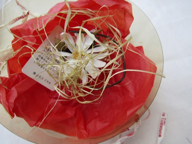 ☆未使用 カネコイサオ 菊 コサージュ ツートン紫系 ファッション