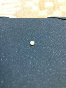 [Редко] Clam Pearls