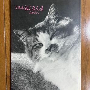 写真集 ねこまんま　おかわり