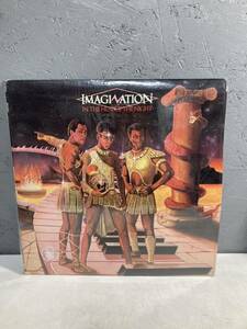 【2B21】A-4 LP レコード IMAGI ATION IN THE HEAT OF THE NIGHT