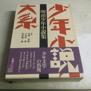 ★即決・送料無料★少年小説大系 第1巻 明治少年小説集 三一書房 CB43