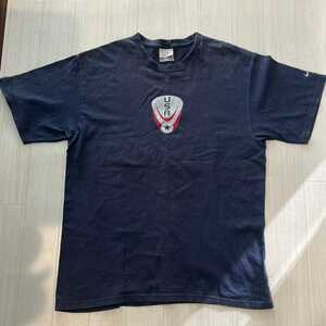 NIKE ナイキ 前面プリントTシャツ USA メンズ