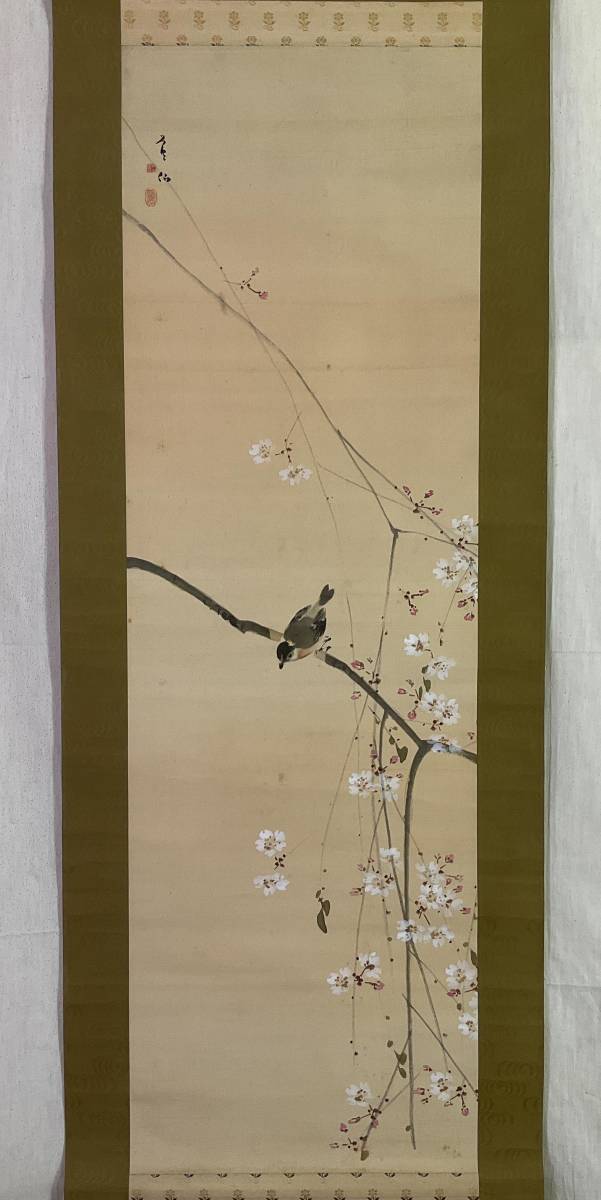 ホビー】 掛軸 千彰『花鳥図 小禽に柿』絹本 無地箱付 掛け軸 a052915