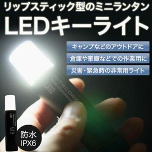 bush de brunt ripshot 新品未開封　リップスティック型　LEDランタン　nitecore