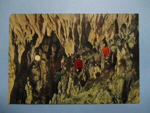 b2875高知景観天然記念物龍河洞の奇観絵葉書