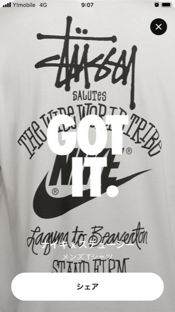 超新作】 dragon様 ステューシー×ナイキ 専用Stussy×Nike ナイロン