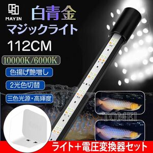 MAYIN マイン 白青金マジックライト 112cm 31W 電圧変換器セット スネークヘッドライト 水槽ライト 高背金龍 色揚げ