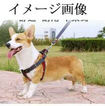 ハーネス リード セット 赤 XL デニム 中型犬 大型犬 胴回り45～70cm前後 リード 110cm 幅2.5cm レッド 散歩 ペット用品 新品 送料無料_画像2