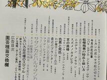 ｓ▼▼　昭和52年3月号　ガーデンライフ　アネモネ　現代草木綿葉集五　イワヒバ　誠文堂新光社　書籍　雑誌　ガーデニング　花　 /L23上_画像4