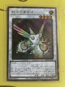 遊戯王 虹光の宣告者 エクストラシークレットレア エクシク レアリティコレクション RARITY COLLECTION 25th エクシク