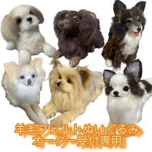 羊毛フェルト ぬいぐるみオーダー 受注専用