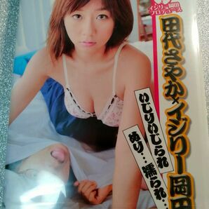 アイドルニッポン　田代さやかイメージDVD　「田代さやかxイジリー岡田　いじりいじられ　ぬり…濡られ…」