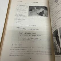 岐阜県の動物 岐阜県高等学校生物教育研究会 園部義邦（代表） 1974年 大衆書房 天然記念物 生物_画像4