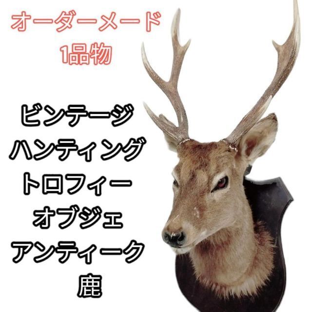 2025年最新】Yahoo!オークション -鹿 壁 剥製の中古品・新品・未 2025年最新】Yahoo!オークション -鹿 壁 剥製の中古品・新品・未