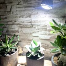 15W植物育成ライトGrowLight 6000K 2個　ライトクリップ2個_画像6