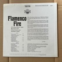 ENRIQUE MONTOYA - FLAMENCO FIRE_画像2