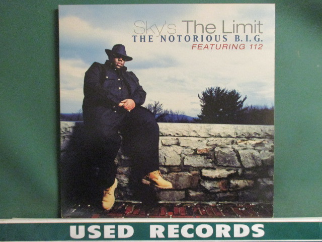 2023年最新】ヤフオク! -the notorious b.i.g(レコード)の中古品・新品