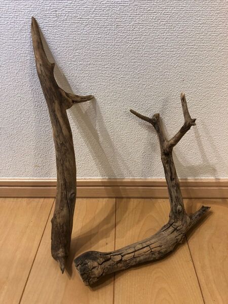 流木 2個セット