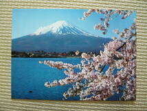 富士と湖　ＮＡＴIONALＰＡＲＫＦＵＪＩ　ＨＡＫＯＮＥ　ＩＺＵ 絵葉書 12枚セット 新品、未使用品_画像6