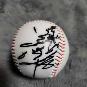  Hanshin Tigers OB wistaria rice field flat san autograph autograph ball name lamp .