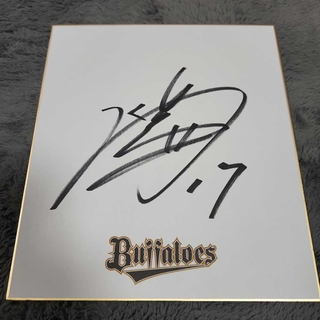 El lanzador de los Orix Buffaloes, Hirotoshi Masui, autografió el papel de color del equipo., béisbol, Recuerdo, Mercancía relacionada, firmar