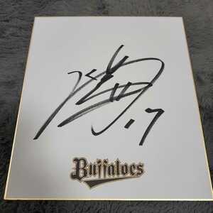 Art hand Auction Orix Buffaloes Pitcher Hirotoshi Masui signiertes teamfarbiges Papier, Baseball, Souvenir, Ähnliche Artikel, Zeichen