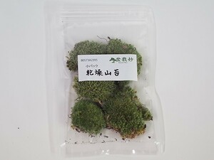 乾燥山苔　小 盆栽 苔玉 復活 テラリウム インテリア 栽培 庭 森 小さい 和風