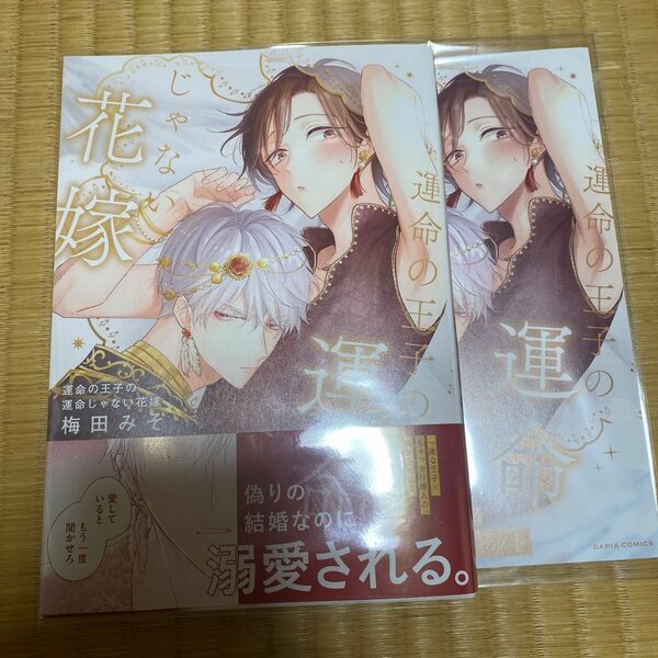 運命の王子の運命じゃない花嫁　アニメイト