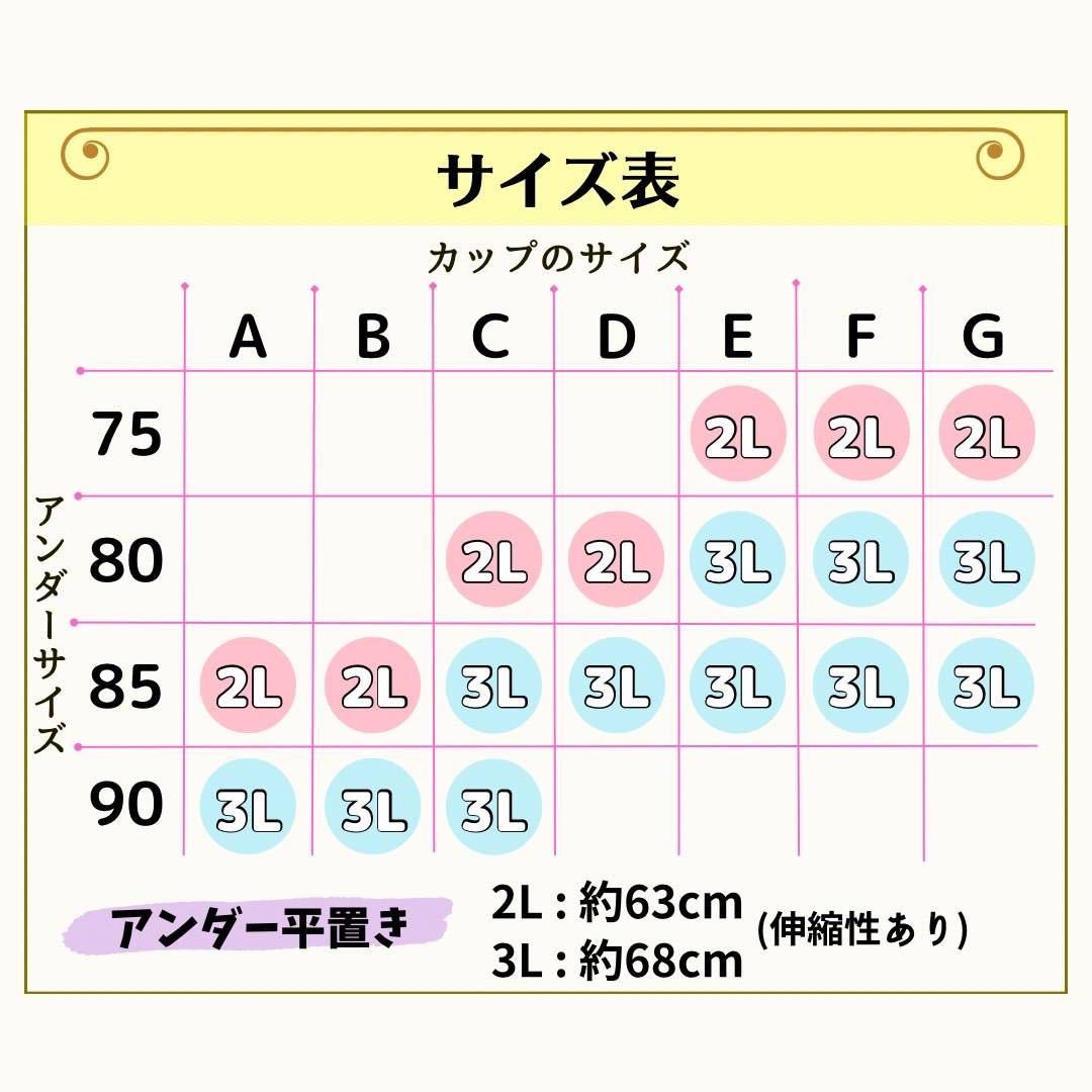 売り切り 2点セットノンワイヤーブラ シームレスブラ 大きい 3L 小さく