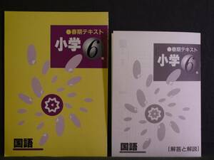 ★ 即発送 ★ 新品 春期 講習 テキスト 国語　６年 解答付属