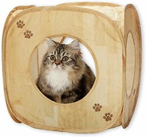  cat . cat Play Cube ( wood grain pattern ) mostly new goods love cat . dream middle . become play!