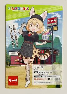 送料最安63円～★なか卯 けものフレンズ コラボキャンペーン オリジナルカード 非売品★けもフレ サーバル