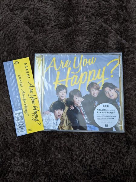 嵐 Are you Happy? 通常版CD