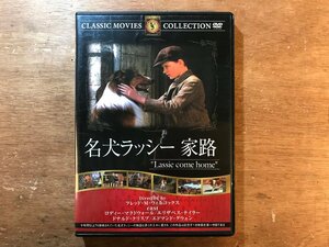 DD-9026 ■送料無料■ 名犬ラッシー 家路 テレビドラマ アニメ Lassie エリックナイト DVD ソフト /くKOら