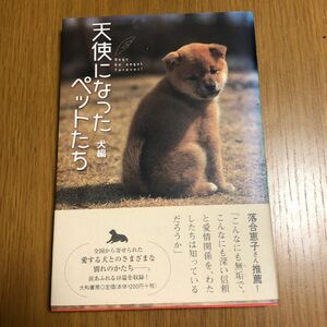 天使になったペットたち　犬編 大和書房／編