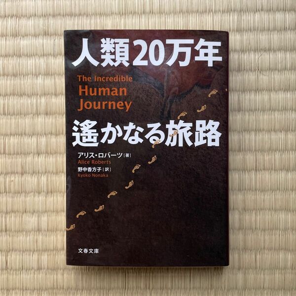 人類２０万年遙かなる旅路 （文春文庫　Ｓ１８－１） アリス・ロバーツ／著　野中香方子／訳