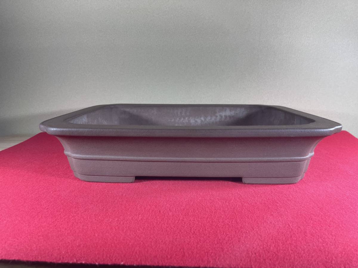ヤフオク! -佳山 鉢の中古品・新品・未使用品一覧