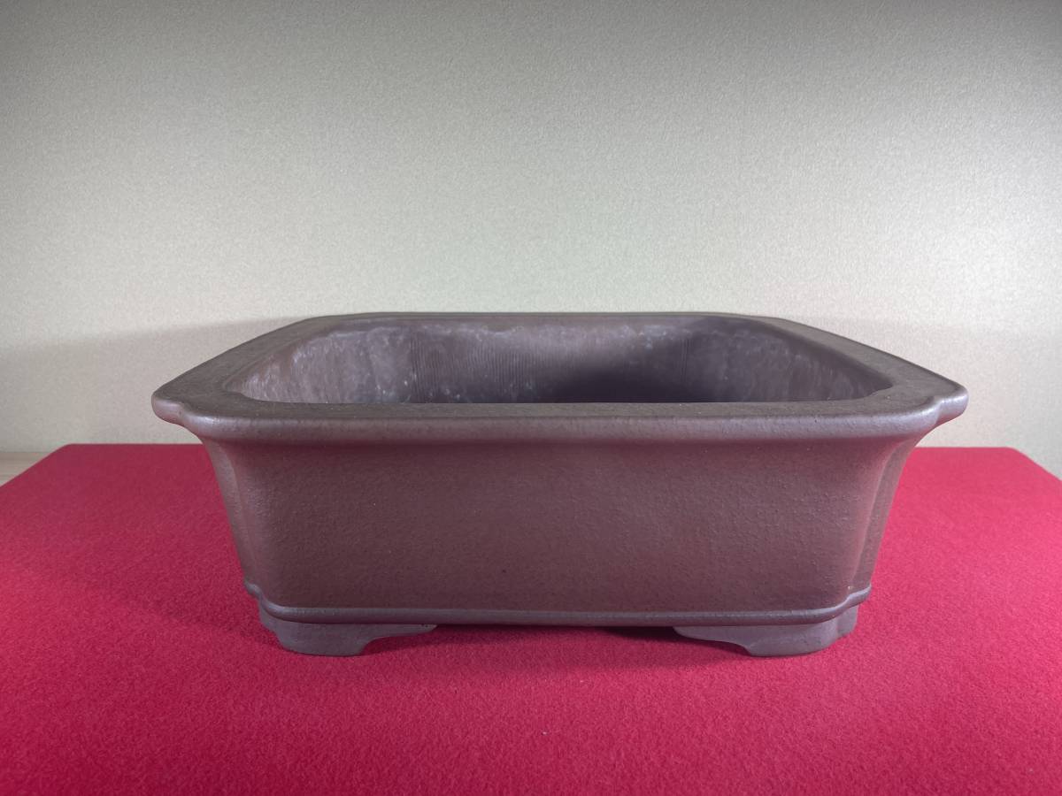 ヤフオク! -佳山 鉢の中古品・新品・未使用品一覧