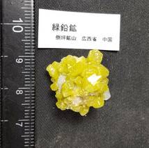 緑鉛鉱 （ パイロモルファイト pyromorphite ) ② 産地 中国 広西省 倒坪鉱山_画像1