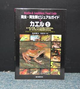 爬虫・両生類ビジュアルガイド カエル① 海老沼剛 / 著 川添宣広 / 写真 誠文堂新光社 西本1800