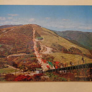 絵葉書 湯の山 秋の御在所岳山上公園。左端は日本カモシカセンターの画像1