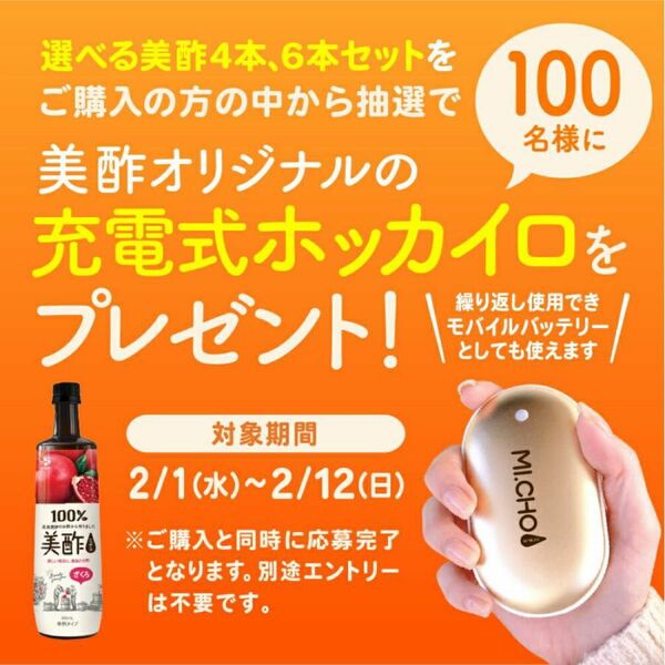 【限定100個】美酢　充電式ポータブルカイロ