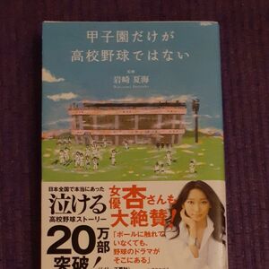 甲子園だけが高校野球ではない 岩崎夏海／監修