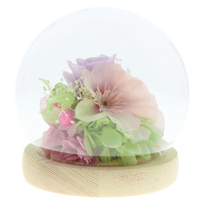 * calendar /. raw ... preserved flower glass dome mail order four season calendar ... flower .. flower . flower dome type dome preserve long-lasting decoration .