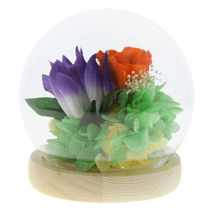 * four season / autumn ... preserved flower glass dome mail order four season calendar ... flower .. flower . flower dome type dome preserve long-lasting decoration .